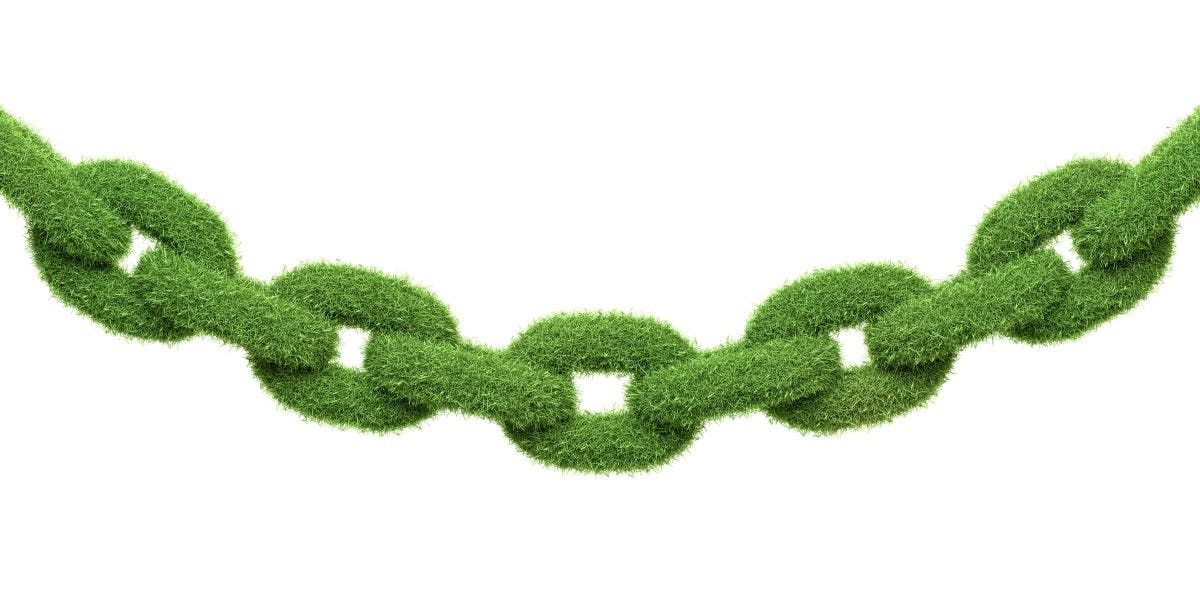 66a3bd059d62ea7f24ef6293 Links To Fresh Green Guidance