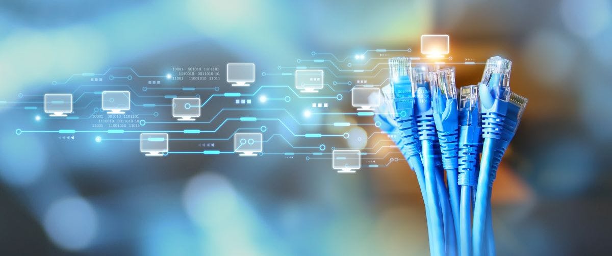 66e45818020b51523eb7ec7e Shutterstock 2426424907