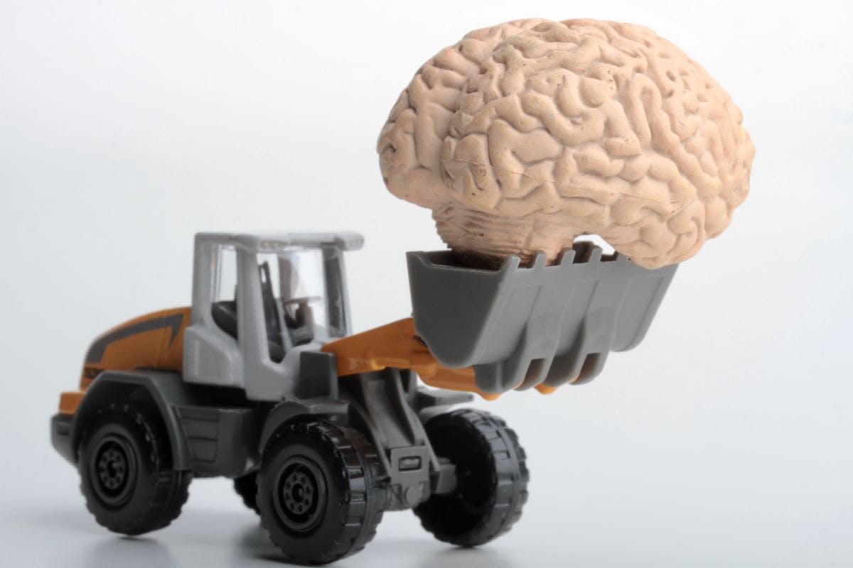 66ec48e6a1ff22bc65805268 Shutterstock 2226232223