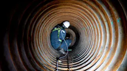 shutterstock_2328137125 shutterstock_2328137125