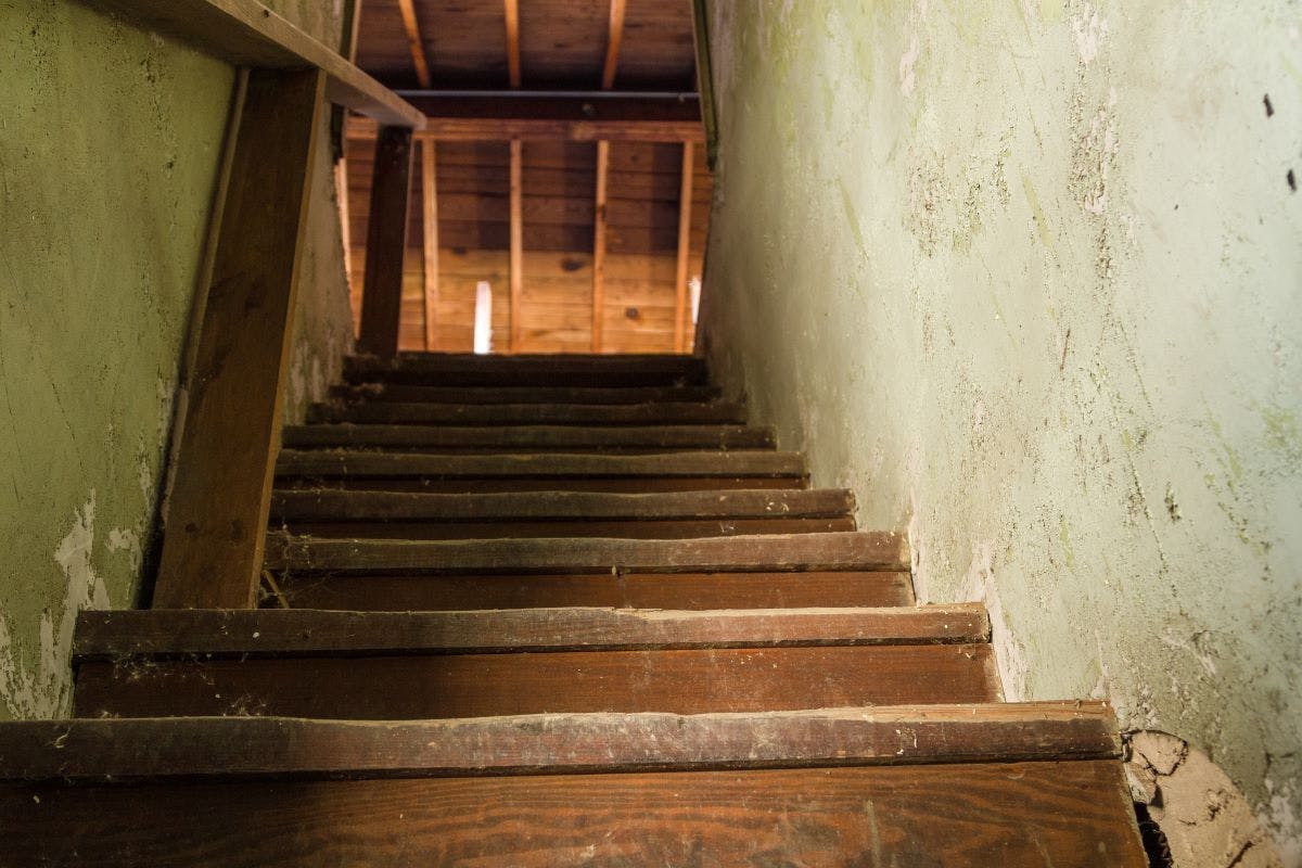 shutterstock_1830740018