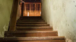 shutterstock_1830740018 shutterstock_1830740018