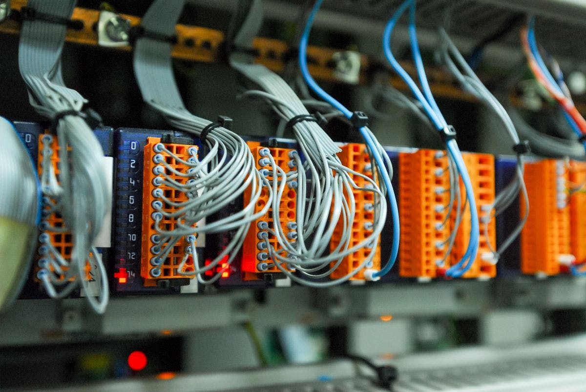 shutterstock_2407457999