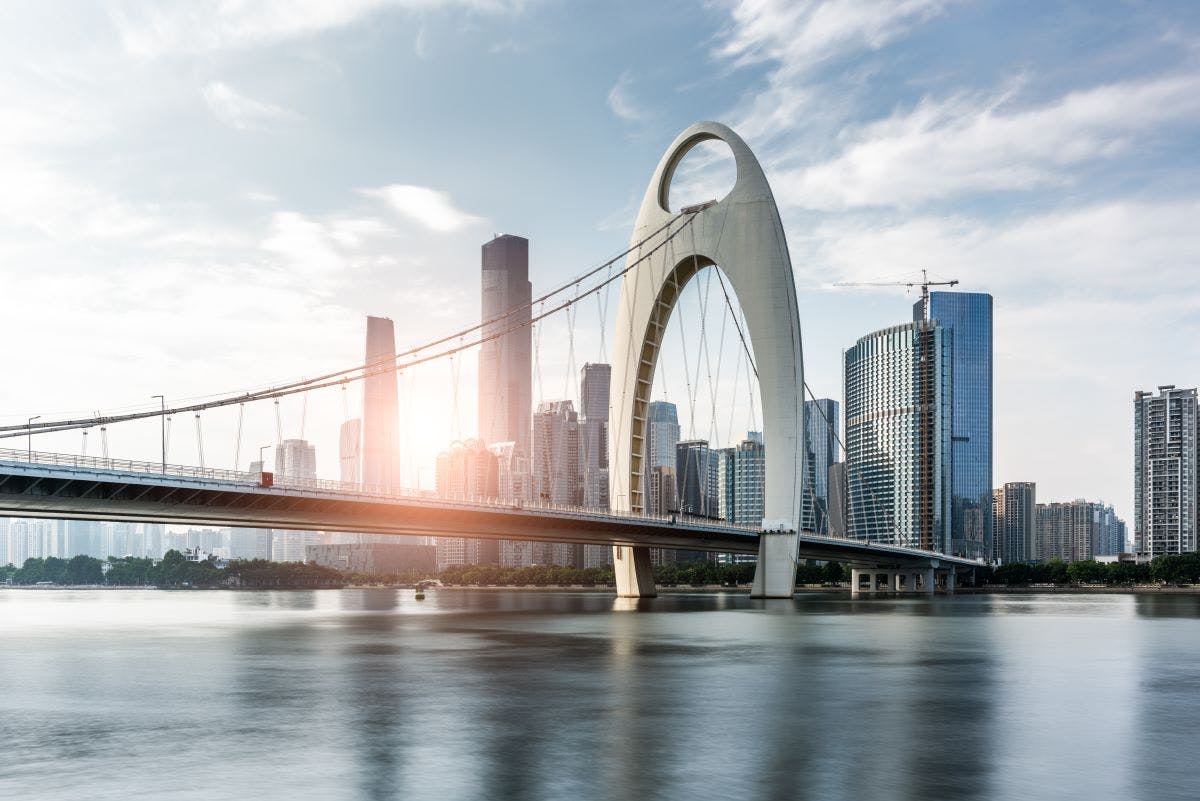 Bridge to the future