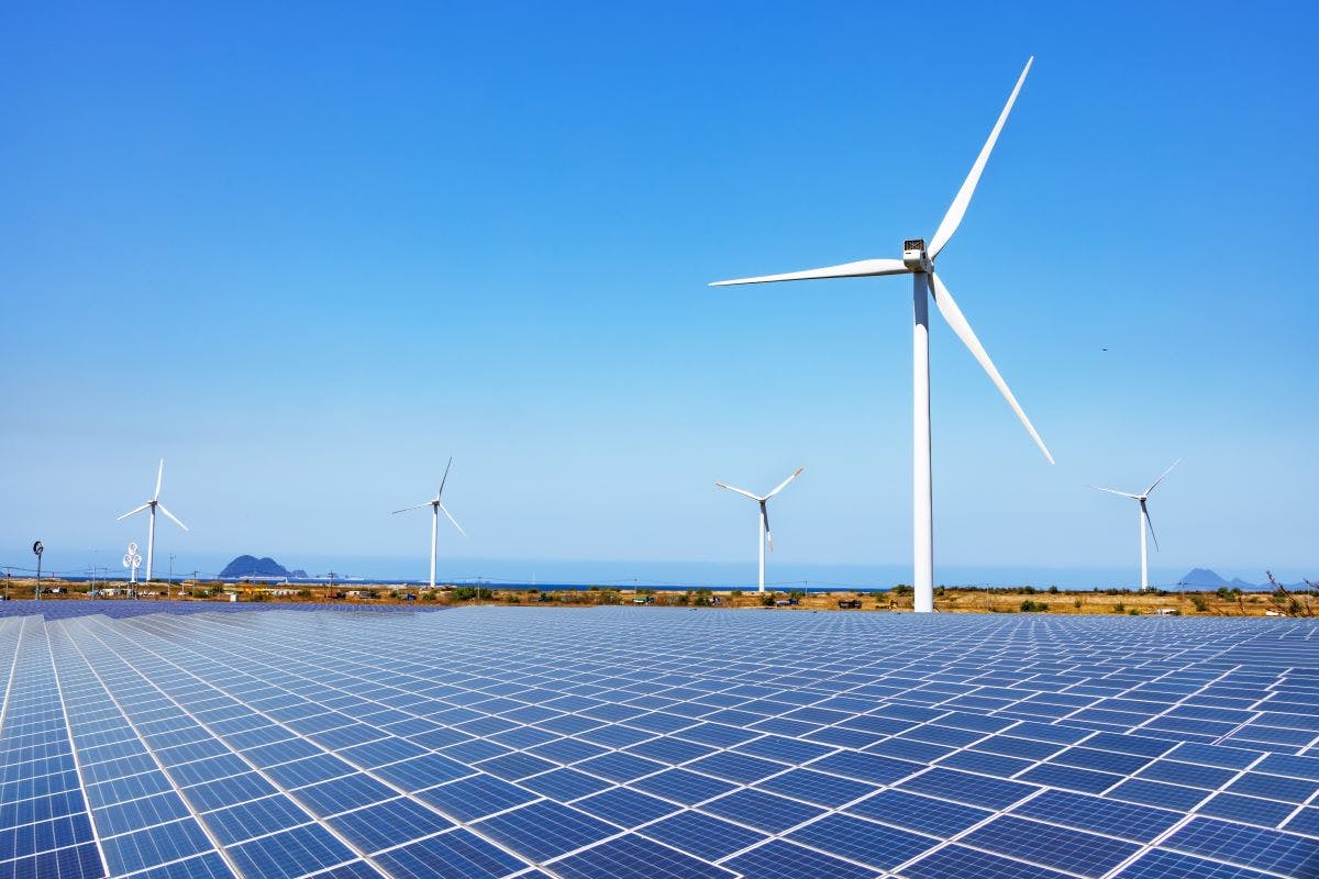 shutterstock_2290151309