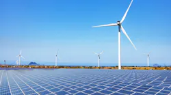 shutterstock_2290151309 shutterstock_2290151309