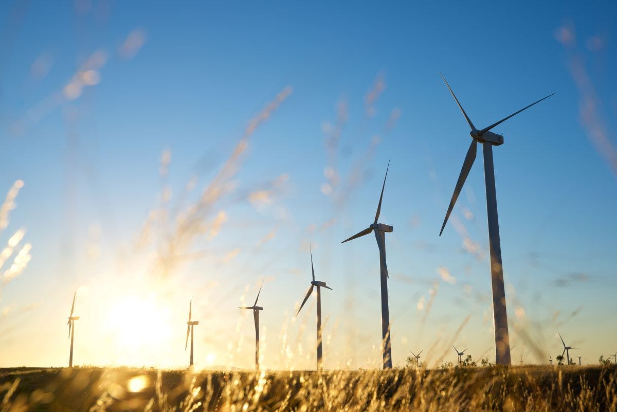 679916554138227a2b136448 Shutterstock 2476411179