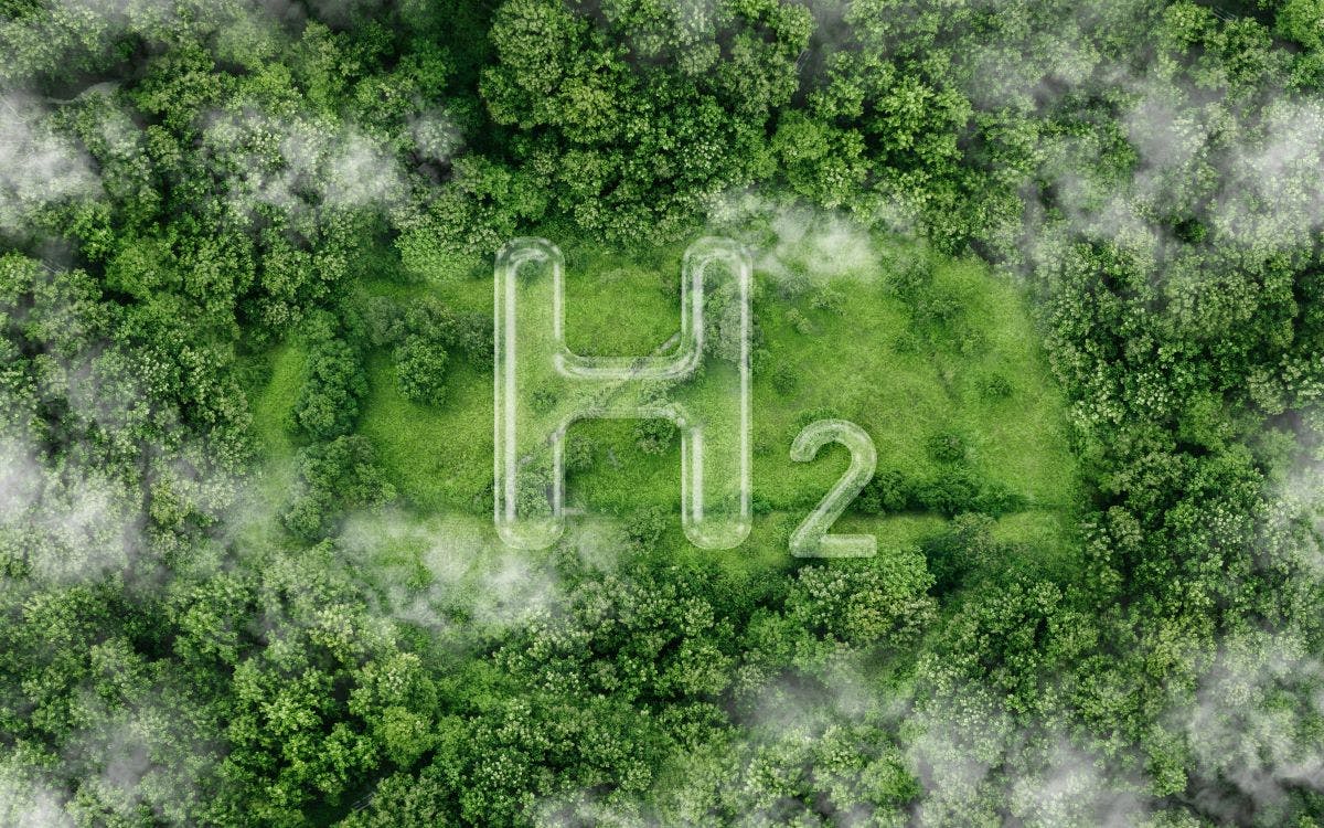 H2 symbol on the green in the forest