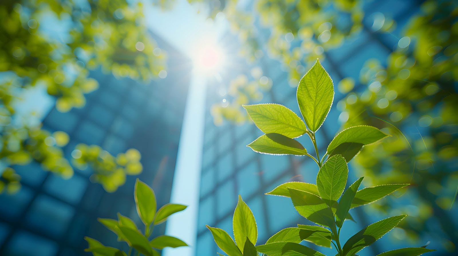 Comprehensive Environmental Compliance Services: Ensuring Adherence to Regulations and Enhancing Corporate Sustainability