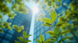 Comprehensive Environmental Compliance Services: Ensuring Adherence to Regulations and Enhancing Corporate Sustainability Comprehensive Environmental Compliance Services: Ensuring Adherence to Regulations and Enhancing Corporate Sustainability