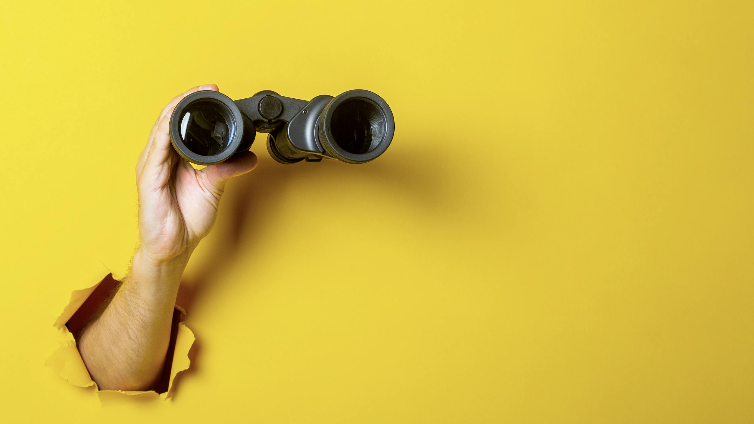 a look at the building and remodeling markets