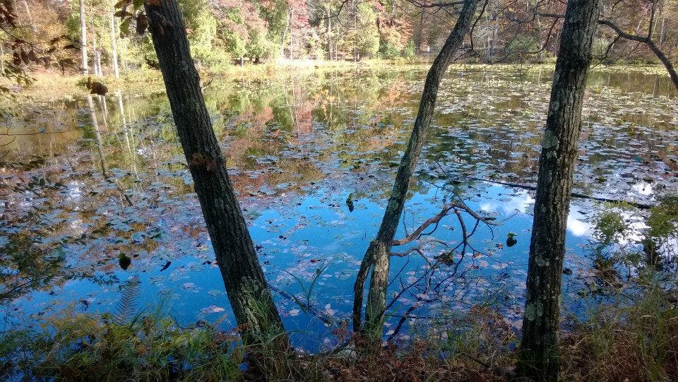 670c2f269688047f31822f07 1432313 75618053