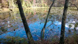 670c2f269688047f31822f07 1432313 75618053 670c2f269688047f31822f07 1432313 75618053