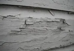 670c2f60151d9bdb528ee1f0 Lead20paint 670c2f60151d9bdb528ee1f0 Lead20paint