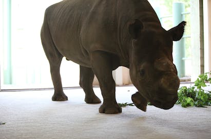 670c2f6e968804178d822f7f Steve1