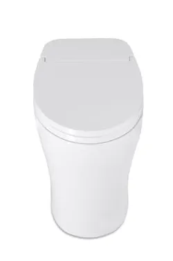Custom-home-product-Icera-toilet Custom-home-product-Icera-toilet