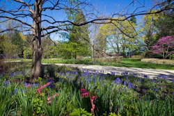 North Shore Front Entrance Landscaping North Shore Front Entrance Landscaping