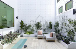 Outdoor patio with seating and greenery Outdoor patio with seating and greenery