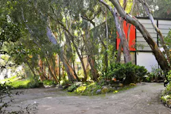 Studio view of the Eames House in Pacific Palisades, Los Angeles Studio view of the Eames House in Pacific Palisades, Los Angeles