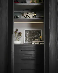 Designer jerel lake custom closet Designer jerel lake custom closet