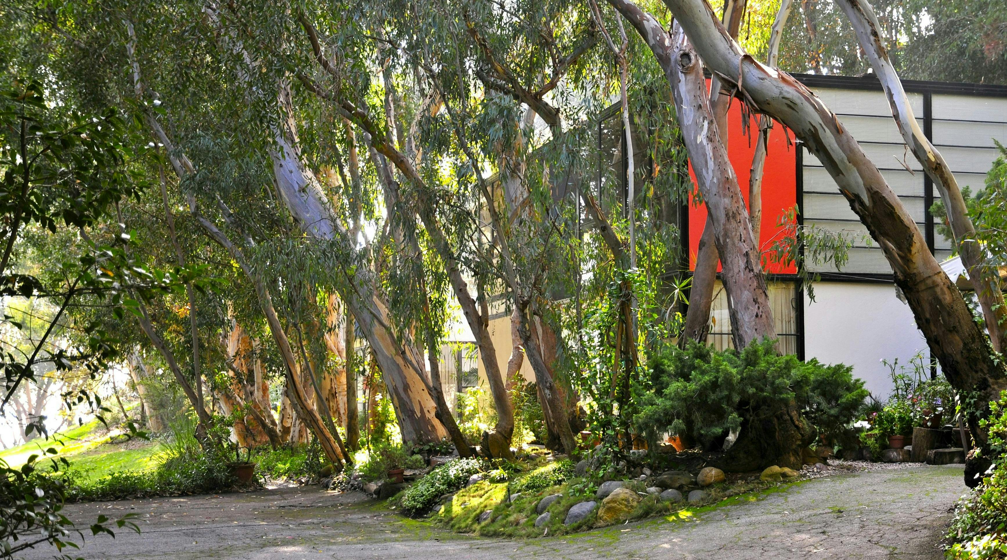 A fixture of midcentury design in Los Angeles since the 1940s, the iconic Eames House suffered smoke damage in the California wildfires, but recently reopened to the public.