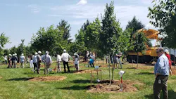 quantum-groundbreaking-trees quantum-groundbreaking-trees