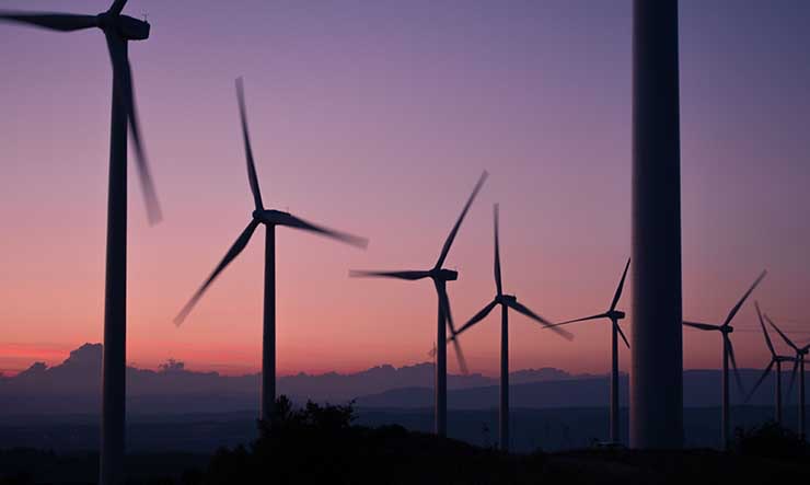 A field of wind turbines at sunrise. (Image: Unsplash)