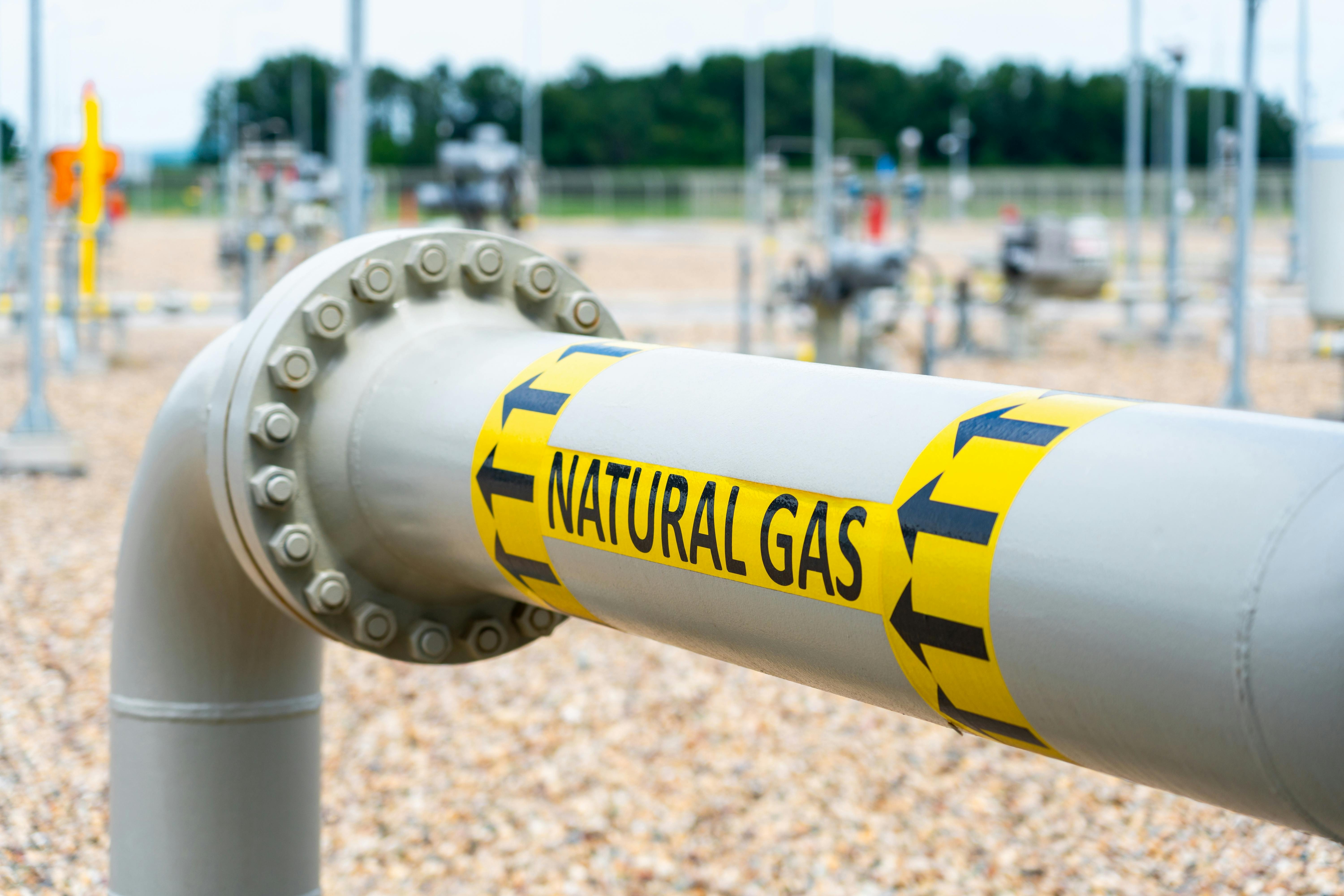 Source: sdf_qwe/Shutterstock.com