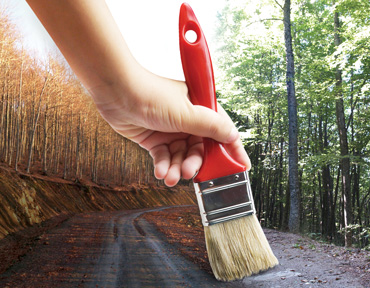 Dreamstime Xl 21773413