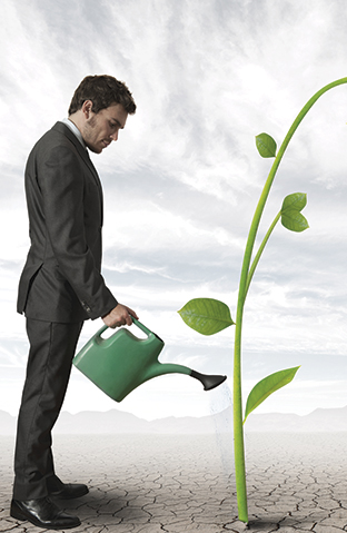 Dreamstime Xl 26102136