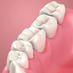 Dreamstime Xl 26519042