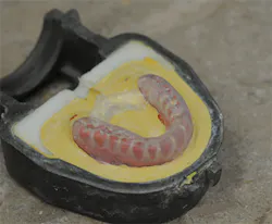 P1410dechr08 P1410dechr08