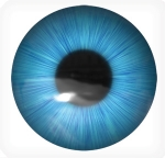 Pennwell web 150 144