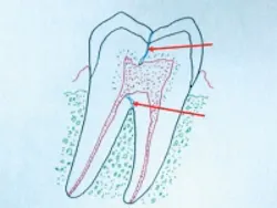 Pennwell web 200 150 Pennwell web 200 150