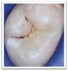 Pennwell web 230 240 Pennwell web 230 240