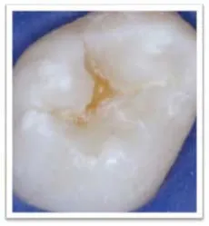 Pennwell web 230 249 Pennwell web 230 249