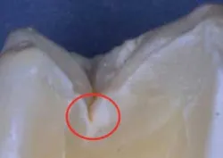 Pennwell web 280 198 Pennwell web 280 198