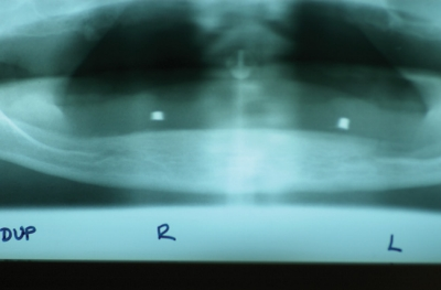 Pennwell web 400 263