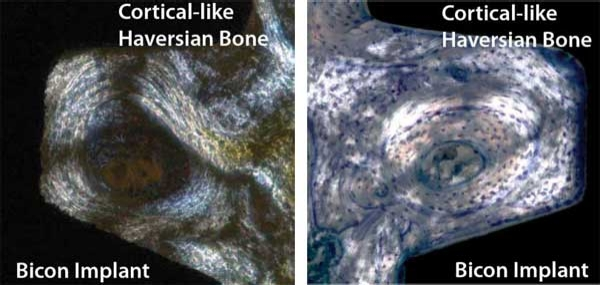 Pennwell web 600 285