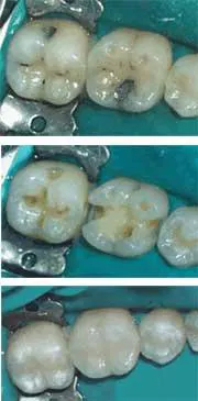 Th 289846 Th 289846