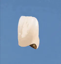 Th De116871 9 Th De116871 9