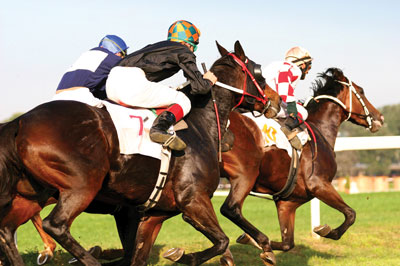 Toc Dreamstime M 1560136