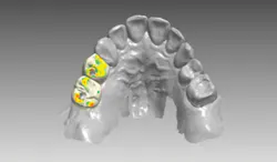 1712dekay P01 1712dekay P01