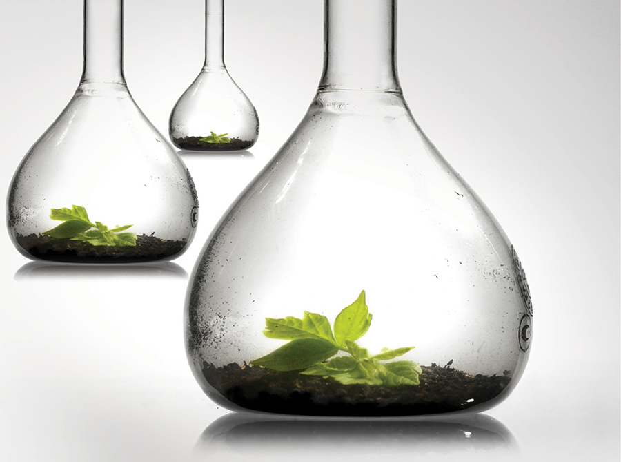 Content Dam De En Articles Print Volume 108 Issue 3 Practice The Rise Of In House Dental Plans Leftcolumn Article Thumbnailimage File