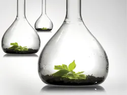 Content Dam De En Articles Print Volume 108 Issue 3 Practice The Rise Of In House Dental Plans Leftcolumn Article Thumbnailimage File Content Dam De En Articles Print Volume 108 Issue 3 Practice The Rise Of In House Dental Plans Leftcolumn Article Thumbnailimage File