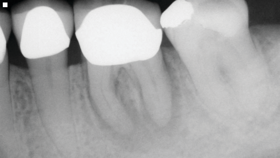 2001 De Ctos Primary 5e1623db4a286