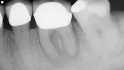 2001 De Ctos Primary 5e1623db4a286 2001 De Ctos Primary 5e1623db4a286