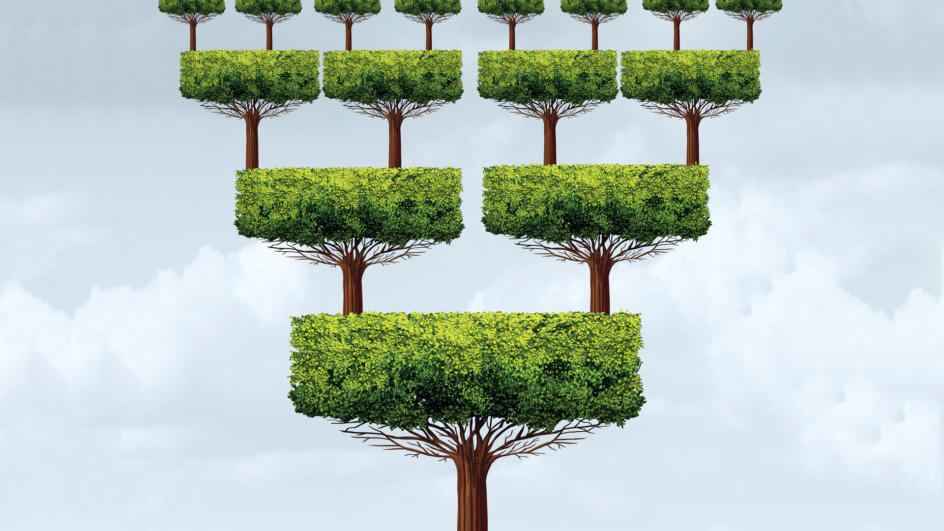 2003 De Ccro P01 5e87fec3100a7