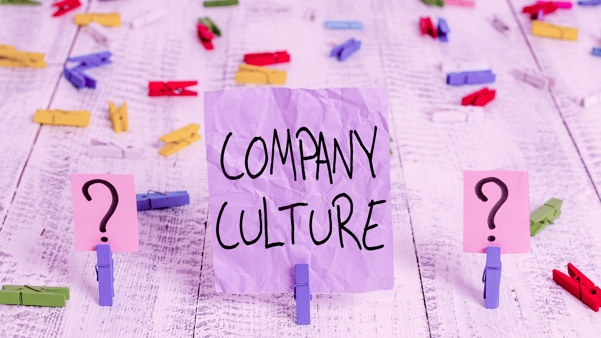 2006 De Csin P01 5f04dc014bfaa