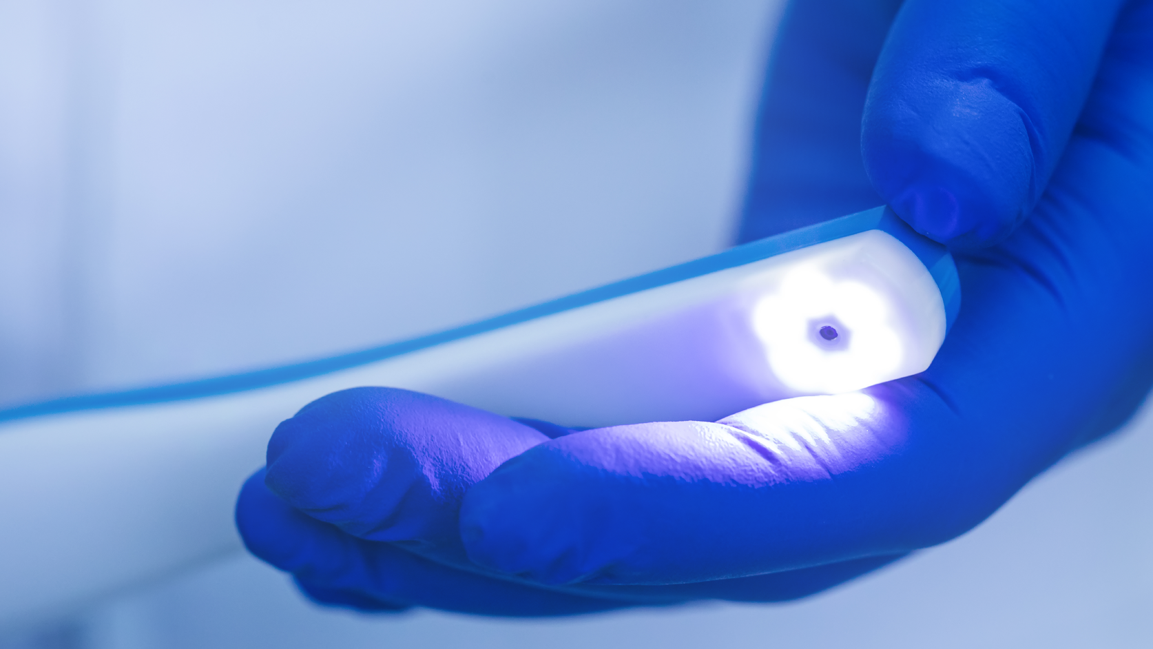 Dreamstime Xxl 156798390